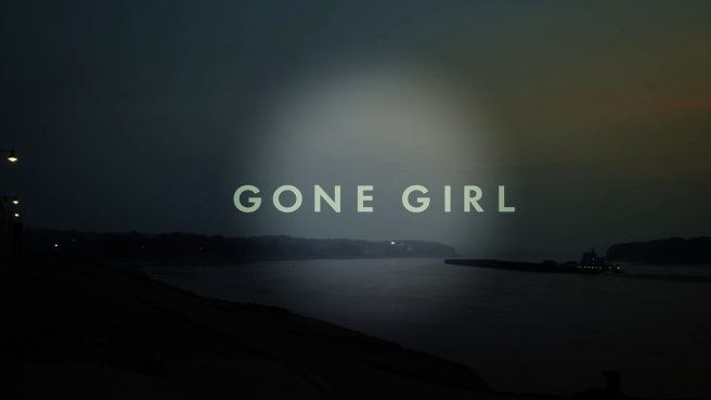 Gone-Girl-Convo-Graphic
